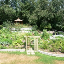 garden Windsong cohousing